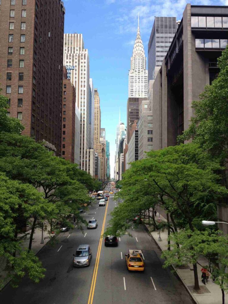 Tree architecture sky road skyline street 1087245 pxhere.com
